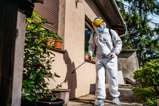 Best Local Pest Control Services  in Amherst, OH