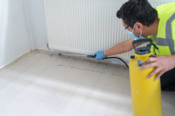 Best Residential Pest Control  in Amherst, OH